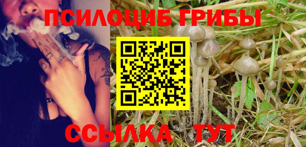 Озёрск  Псилоцибиновые грибы мицелий  Вход с VPN 