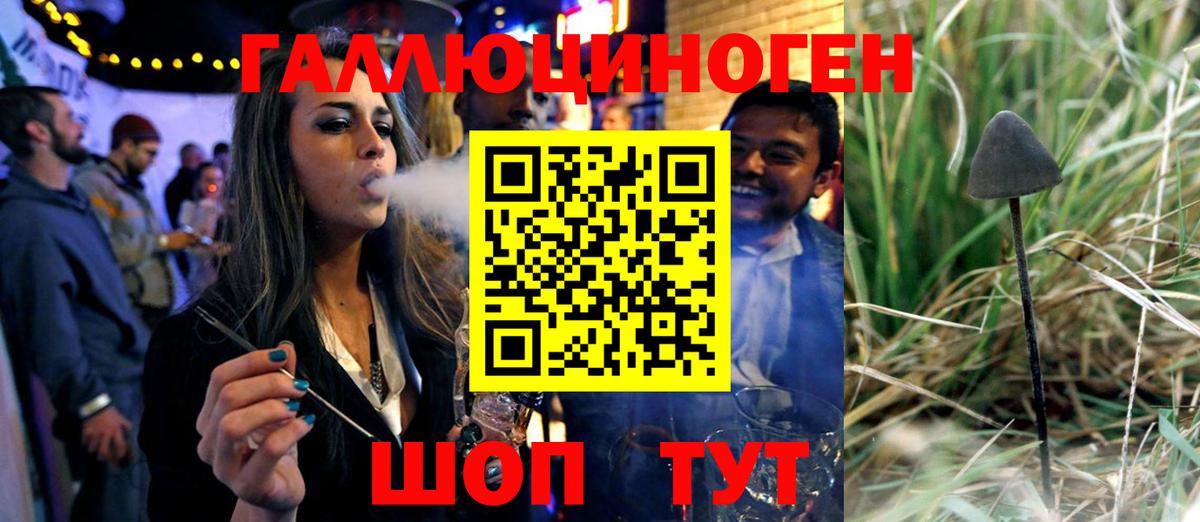 Псилоцибиновые грибы Psilocybine cubensis Озёрск
